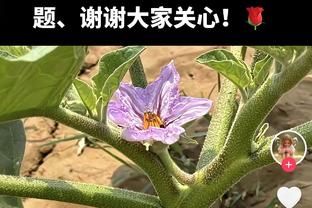 詹姆斯半场11中5砍下18分6板9助 次节独取12分5板9助率队追分！